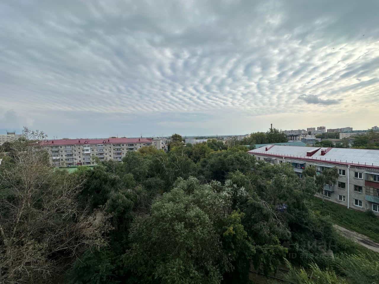 Россия, Курган, Половинская улица, 8Б, фото 3