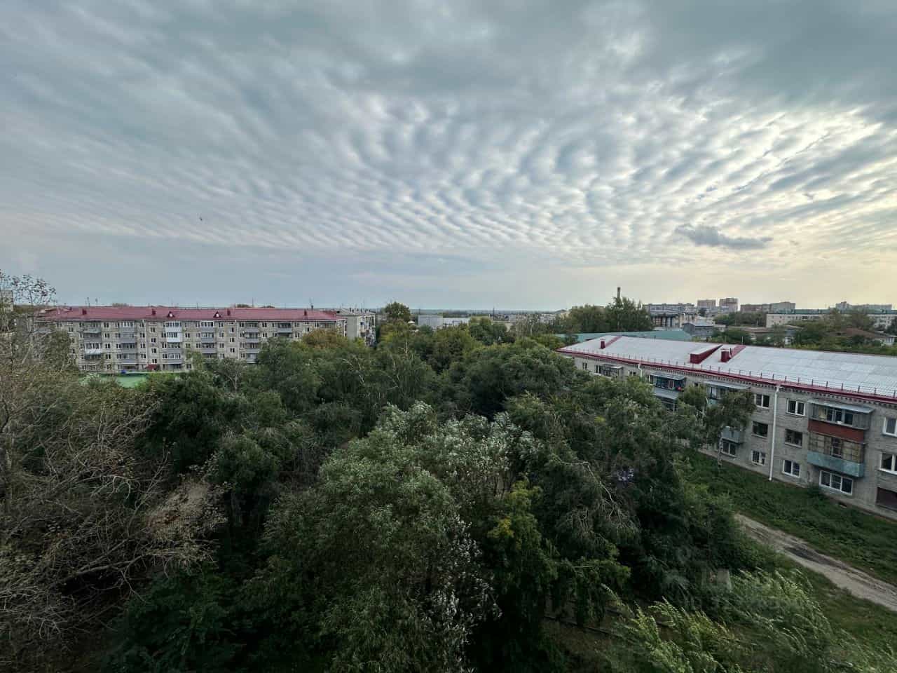 Россия, Курган, Половинская улица, 8Б, фото 6