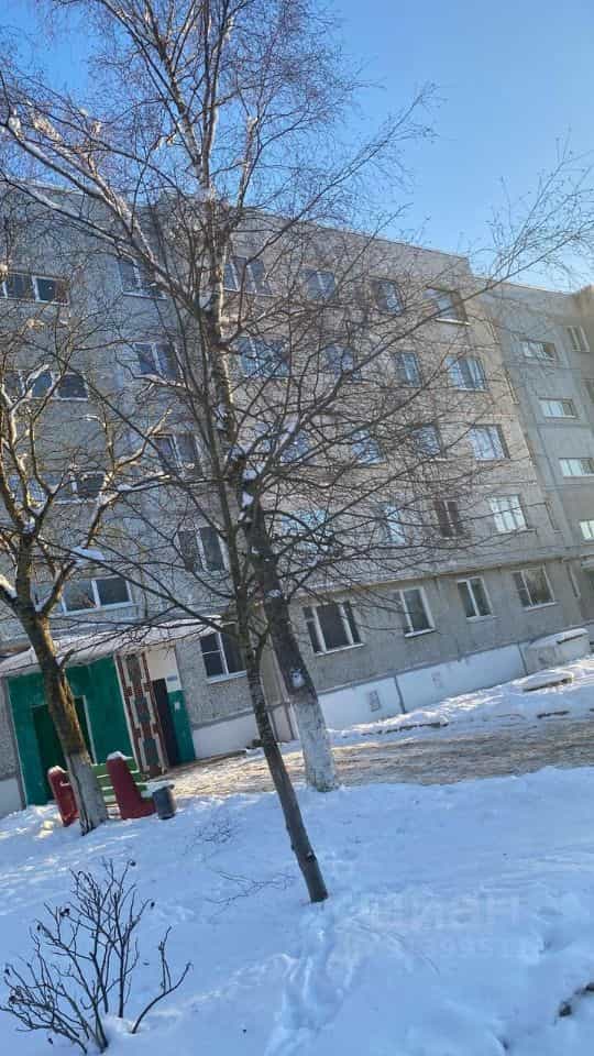 Россия, Новгородский муниципальный округ, Савинское сельское поселение, деревня Божонка, Новая улица, 13, фото 13