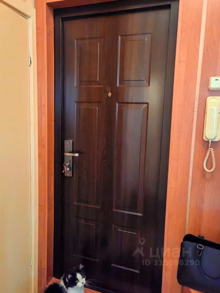 Россия, Великий Новгород, Западный район, улица Кочетова, 10к3, фото 6