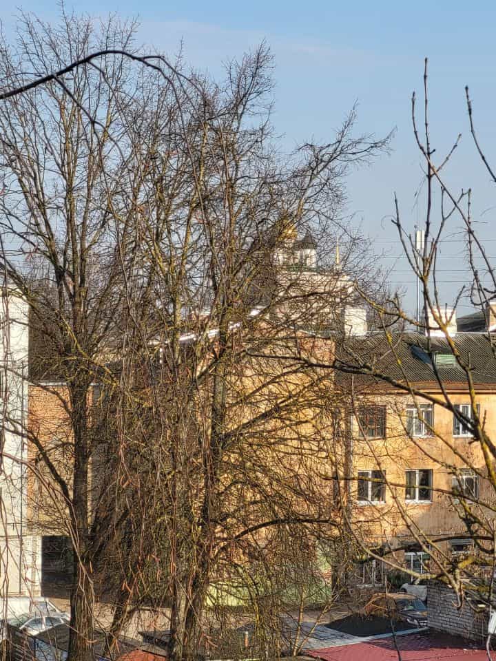 Россия, Псков, Петровская улица, 4Б, фото 4