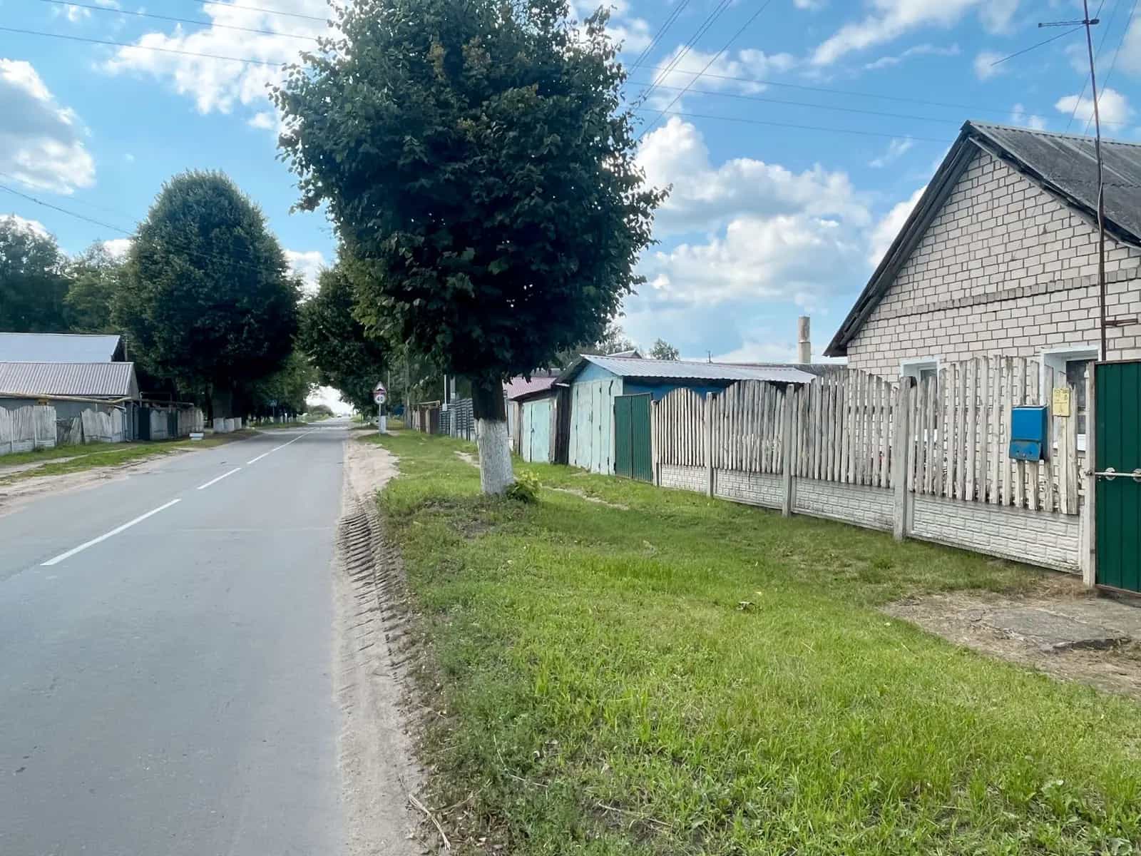 Беларусь, Минская область, Смолевичский район, Жодинский сельсовет, агрогородок Будагово, Советская улица, 20, фото 26