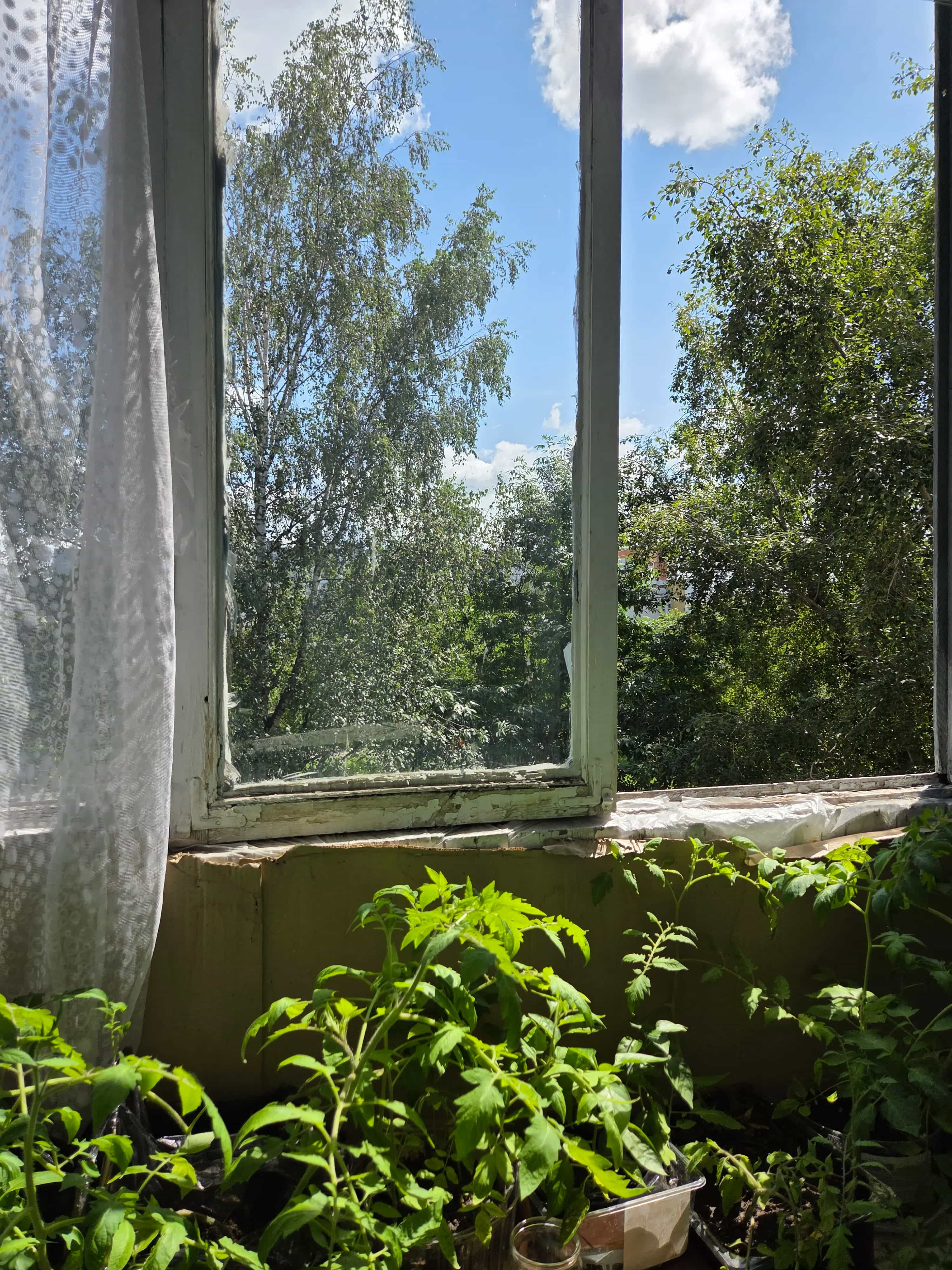 Беларусь, Могилёв, улица Островского, 32, фото 9