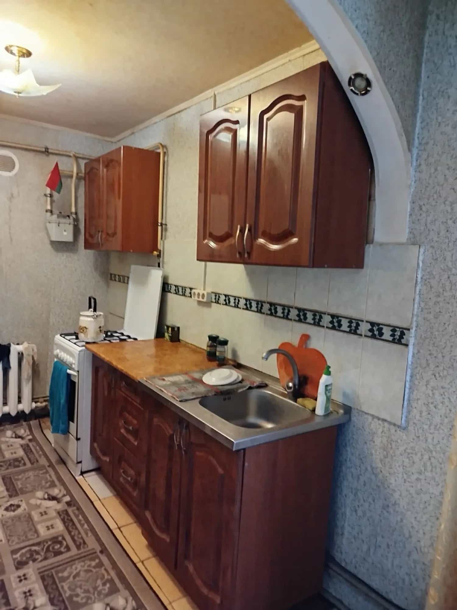 Беларусь, Витебская область, Полоцкий район, Солоникский сельсовет, деревня Богатырская, Центральная улица, 28, фото 4