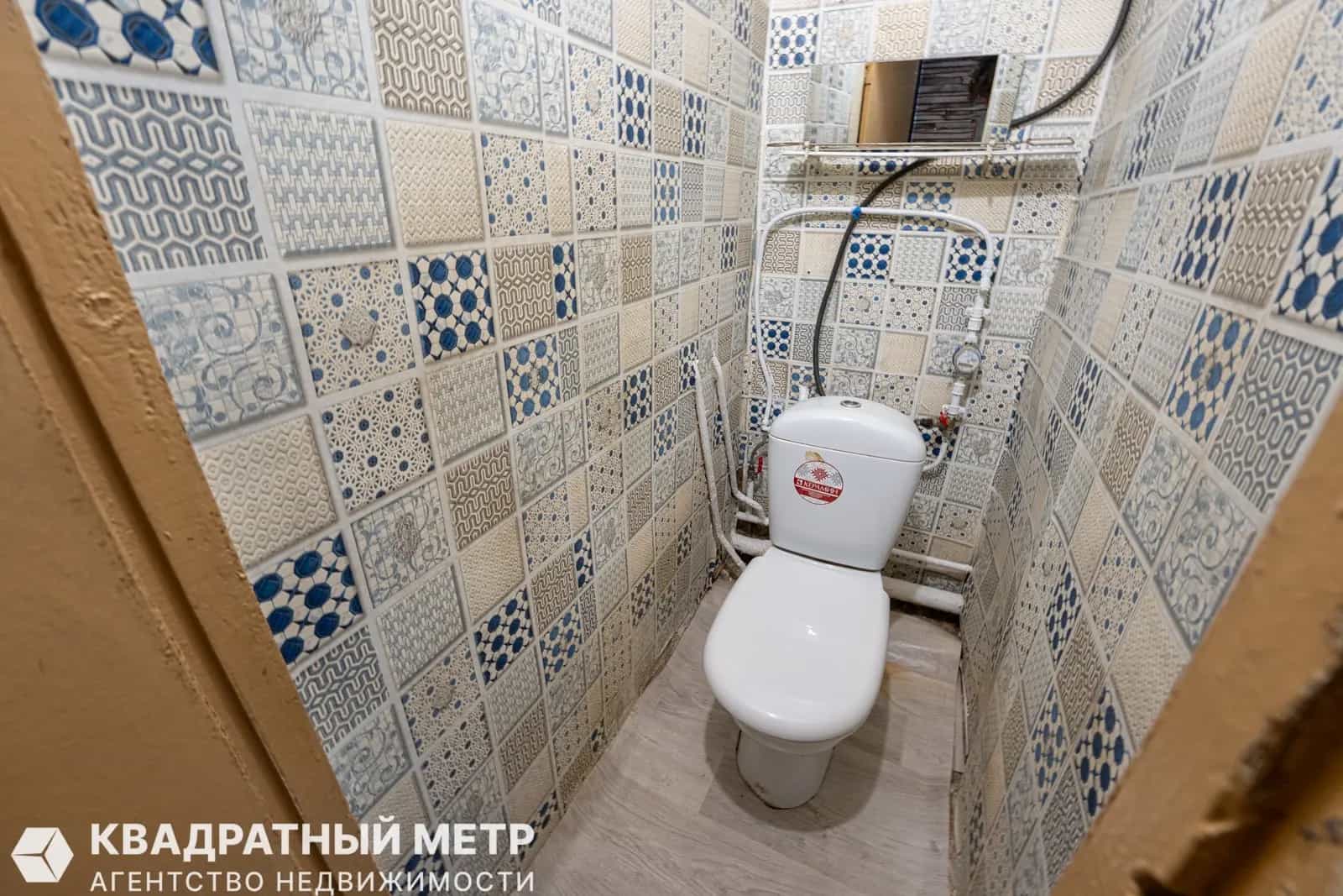Беларусь, Минский район, Папернянский сельсовет, агрогородок Вишнёвка, Центральный переулок, 9, фото 10