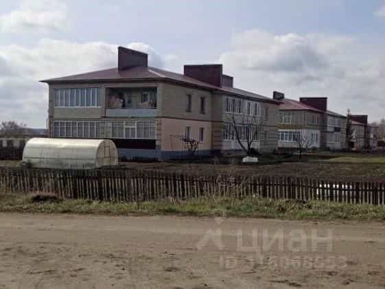 Россия, Тамбовская область, Моршанский муниципальный округ, село Питерское, Молодёжная улица, 6, фото 2