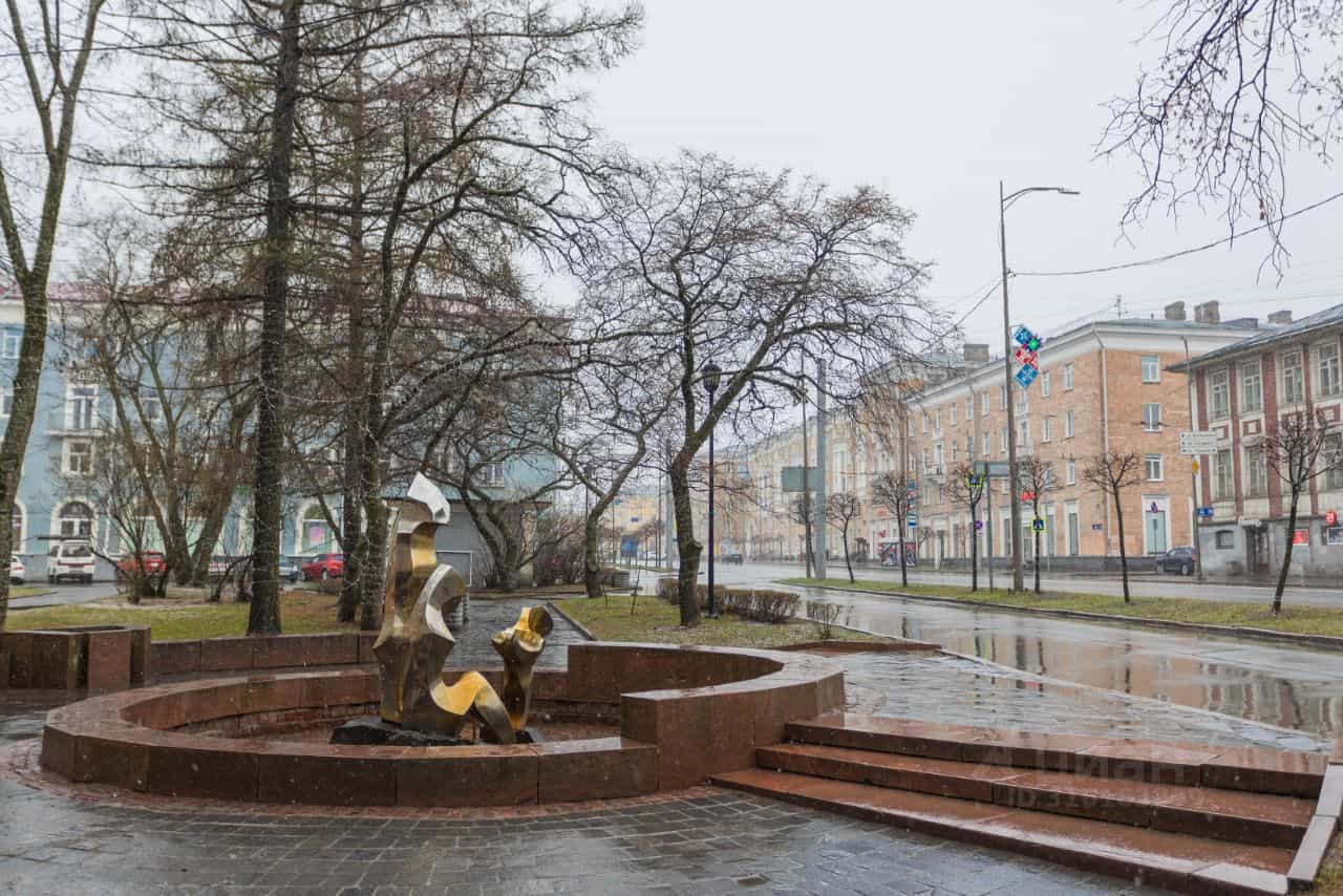 Россия, Республика Карелия, Петрозаводск, проспект Ленина, 26, фото 43