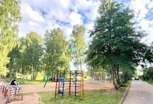 Россия, Новгородская область, Валдайский муниципальный округ, Рощинское сельское поселение, посёлок Рощино, 7, фото 23