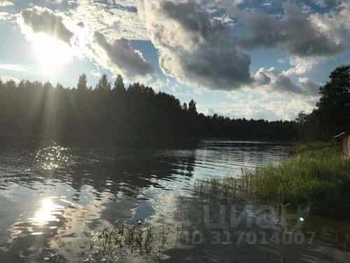 Россия, Новгородская область, Валдайский муниципальный округ, Рощинское сельское поселение, посёлок Рощино, 7, фото 25