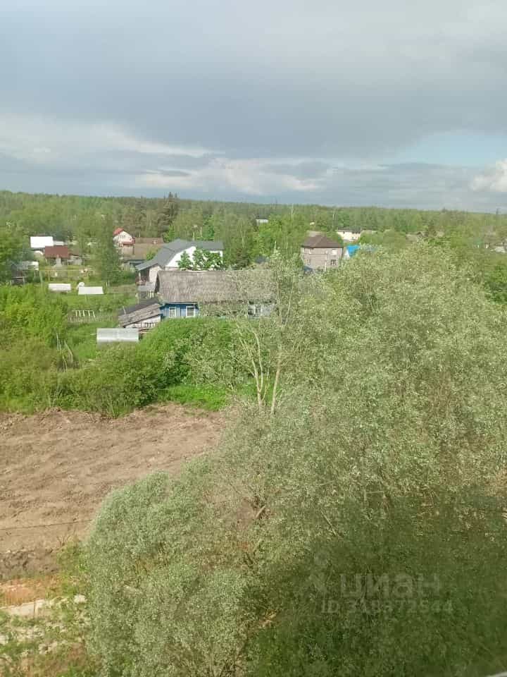 Россия, Новгородская область, Чудово, улица Большевиков, 30, фото 14
