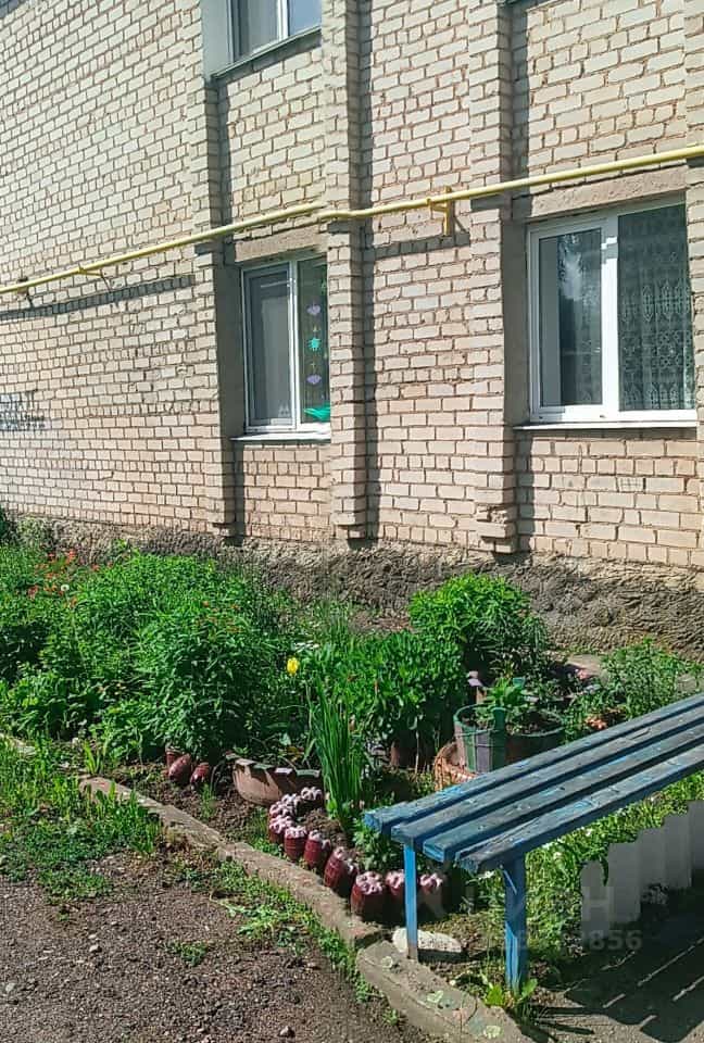 Россия, Смоленская область, Починок, улица Победы, 1, фото 15