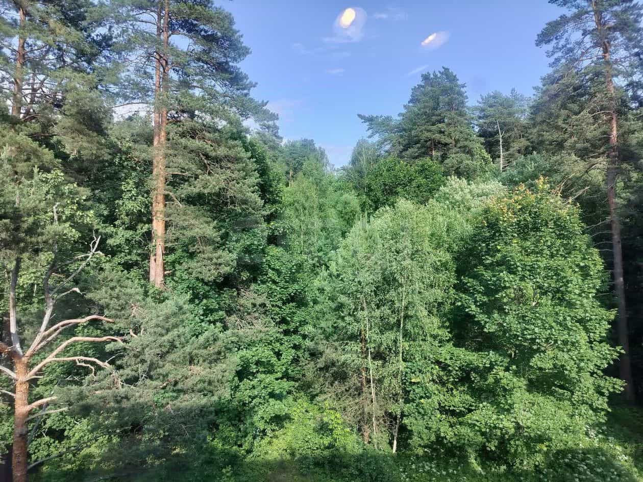 Россия, Смоленск, Красноборская улица, 6к5, фото 5