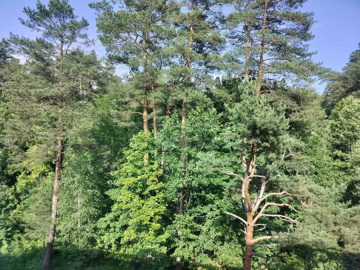 Россия, Смоленск, Красноборская улица, 6к5, фото 14
