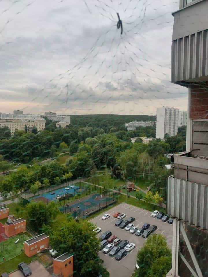 Россия, Москва, Чертановская улица, 48к2, фото 23