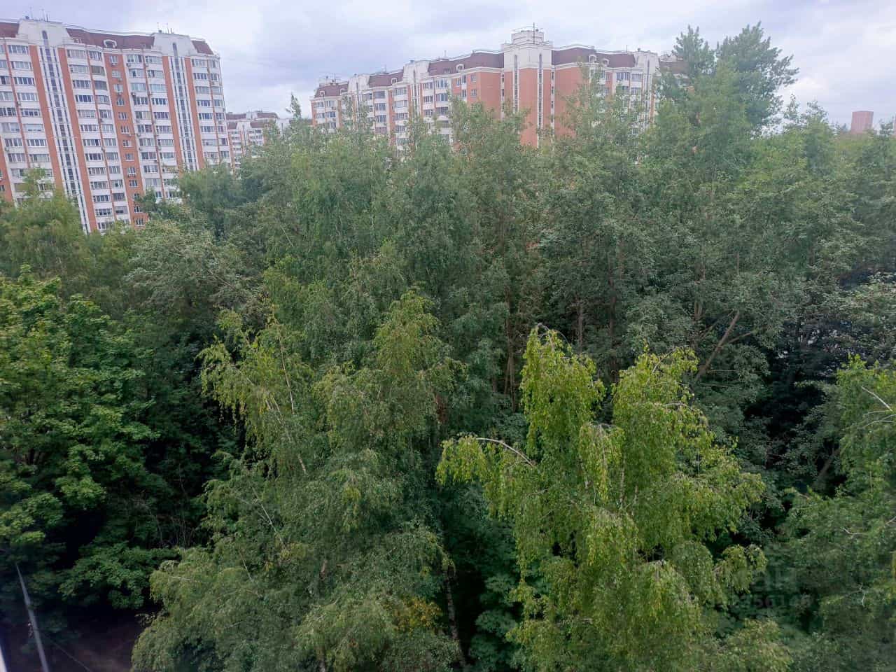 Россия, Москва, Россошанская улица, 2к1, фото 13