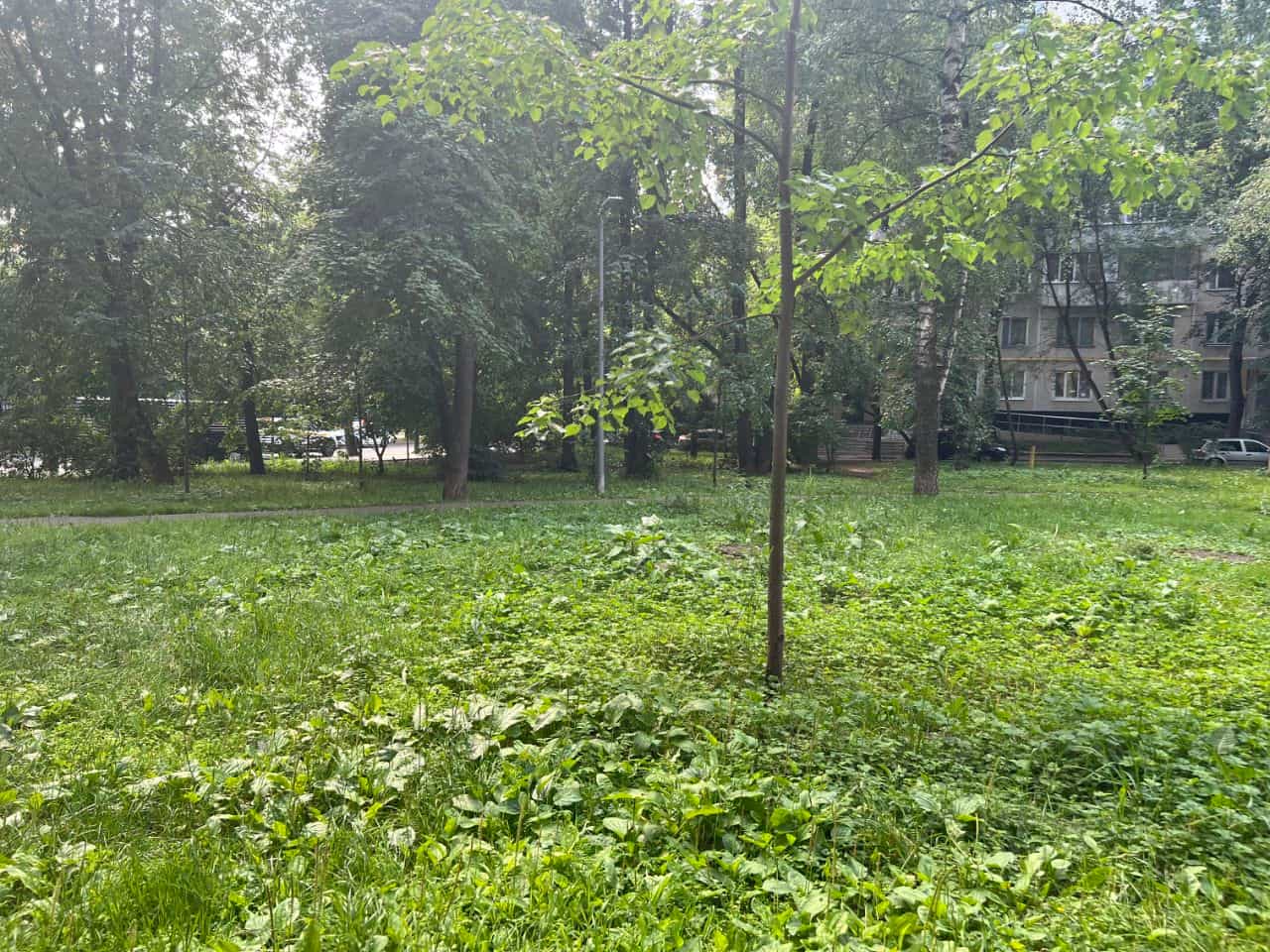 Россия, Москва, 11-я Парковая улица, 9/35, фото 7