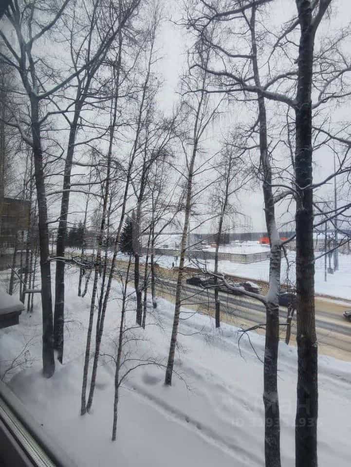 Россия, Республика Коми, Сыктывкар, улица Морозова, 43, фото 11