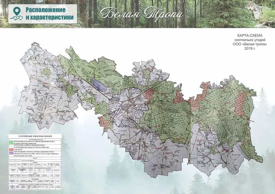 Беларусь, Гродненская область, Мостовский район, Куриловичский сельсовет, деревня Черлёнка, Садовая улица, 4А, фото 47
