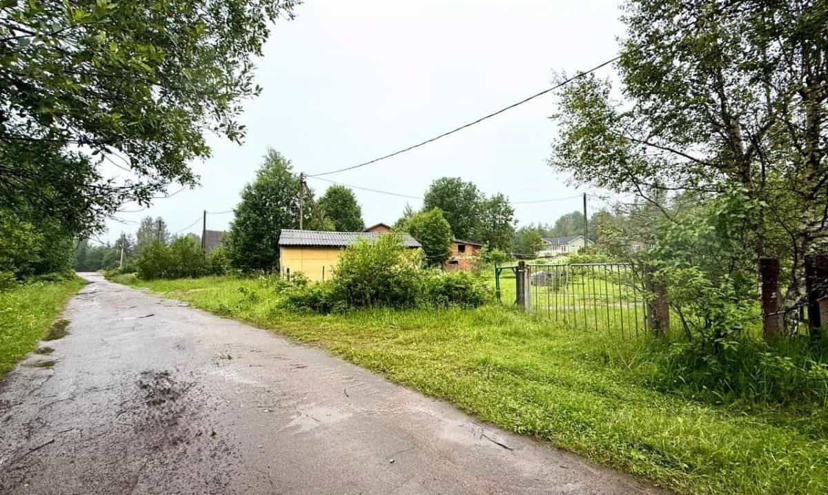 Россия, Новгородская область, Валдайский муниципальный округ, Костковское сельское поселение, деревня Ватцы, улица Васильева, 13, фото 12