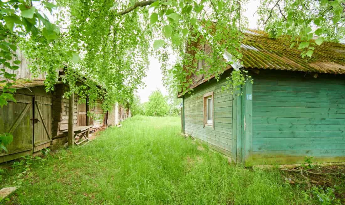 Беларусь, Витебская область, Миорский район, Перебродский сельсовет, деревня Перебродье, Шоссейная улица, 16, фото 27
