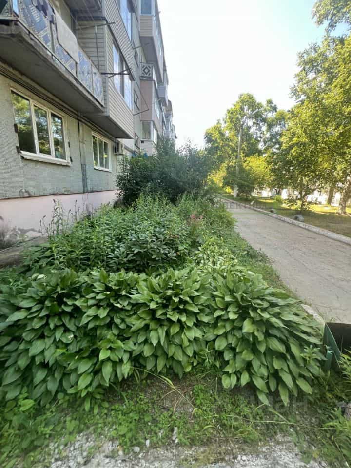 Россия, Приморский край, Партизанск, улица Кутузова, 48, фото 37