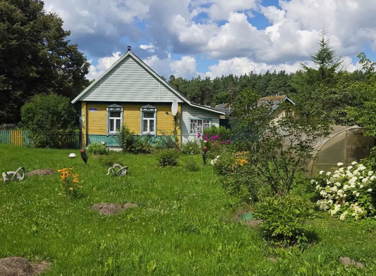 Беларусь, Витебская область, городской посёлок Бешенковичи, Витебское шоссе, 16