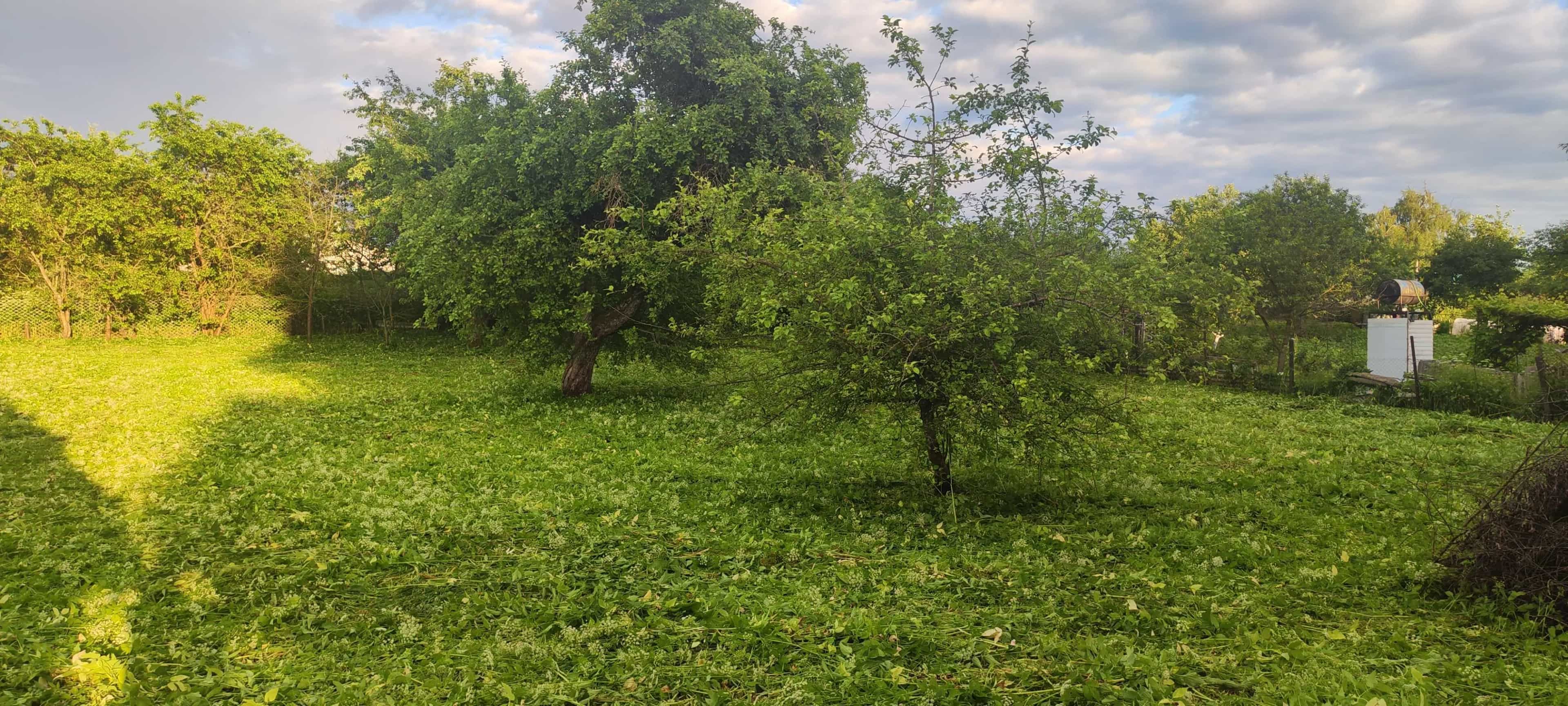 Беларусь, Витебский район, Новкинский сельсовет, деревня Сосновка, Озёрная улица, 14, фото 5