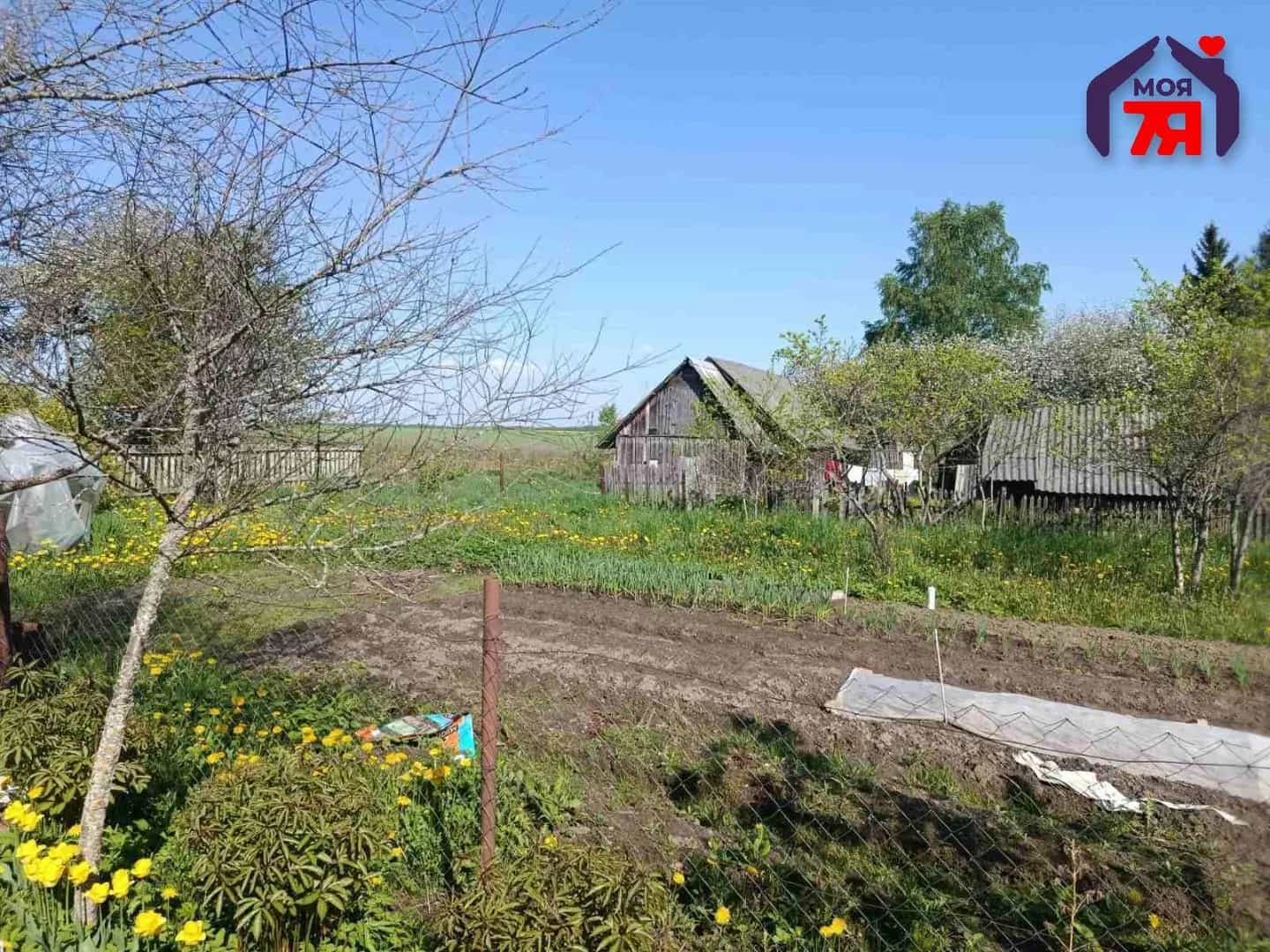 Беларусь, Минская область, Вилейский район, Куренецкий сельсовет, деревня Литвинки, Центральная улица, 14, фото 8