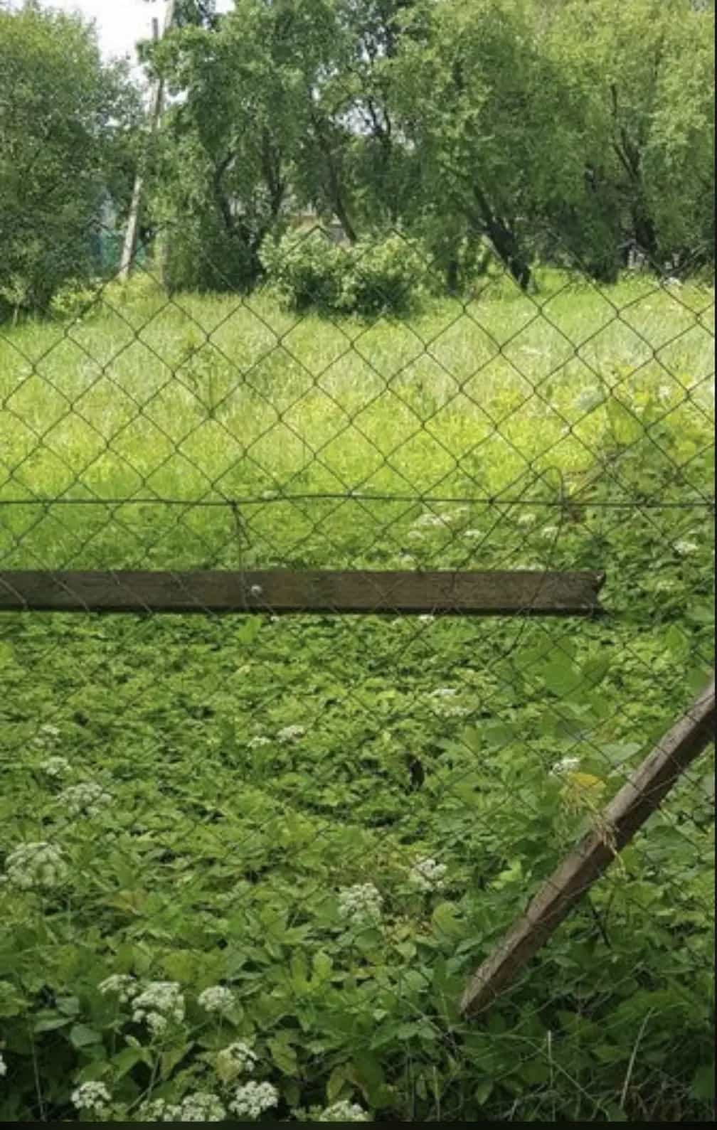 Беларусь, Брестская область, Ивацевичский район, агрогородок Бытень, Комсомольская улица, 2, фото 7