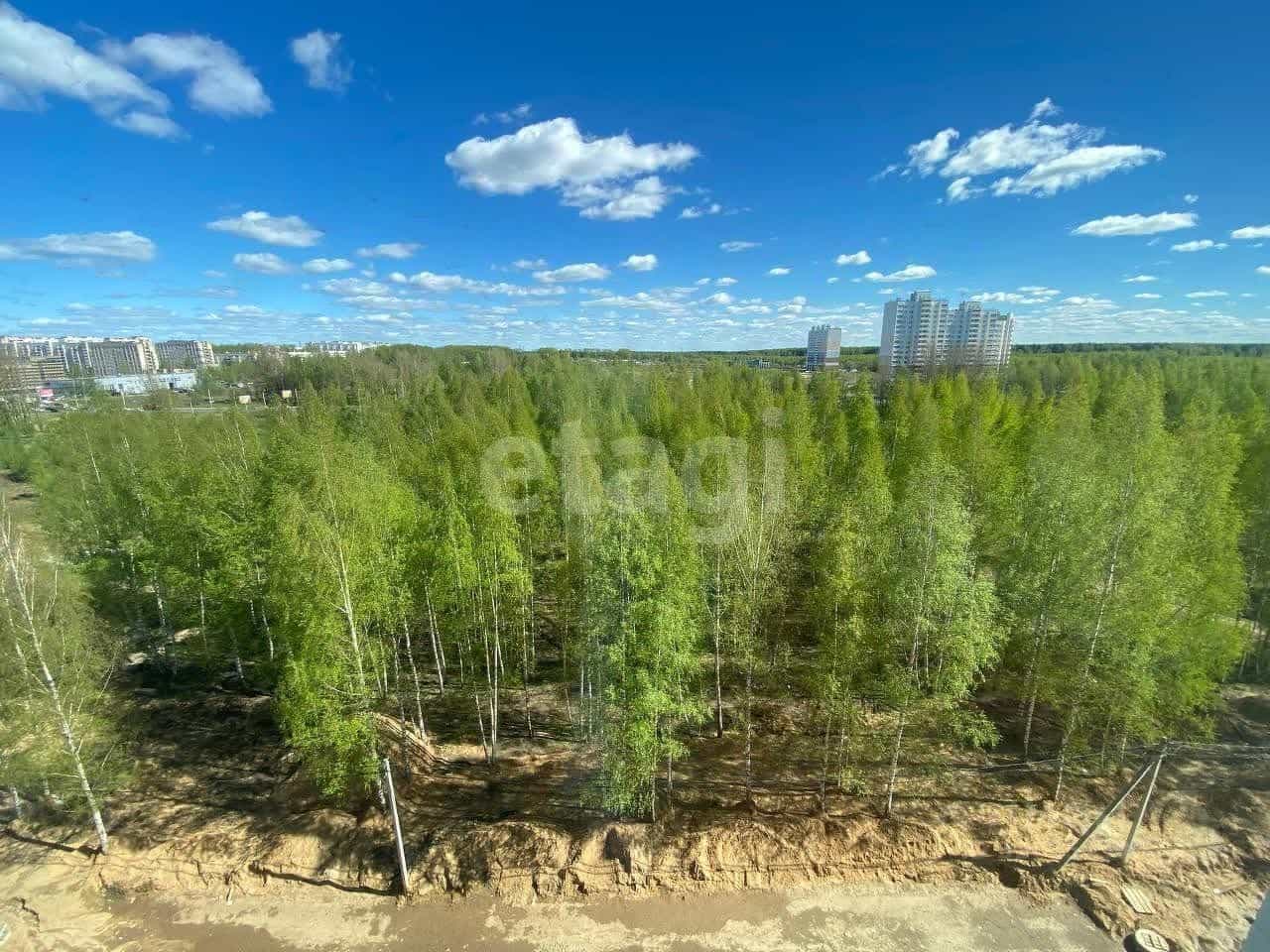 Россия, Кострома, Южная улица, 34, фото 25