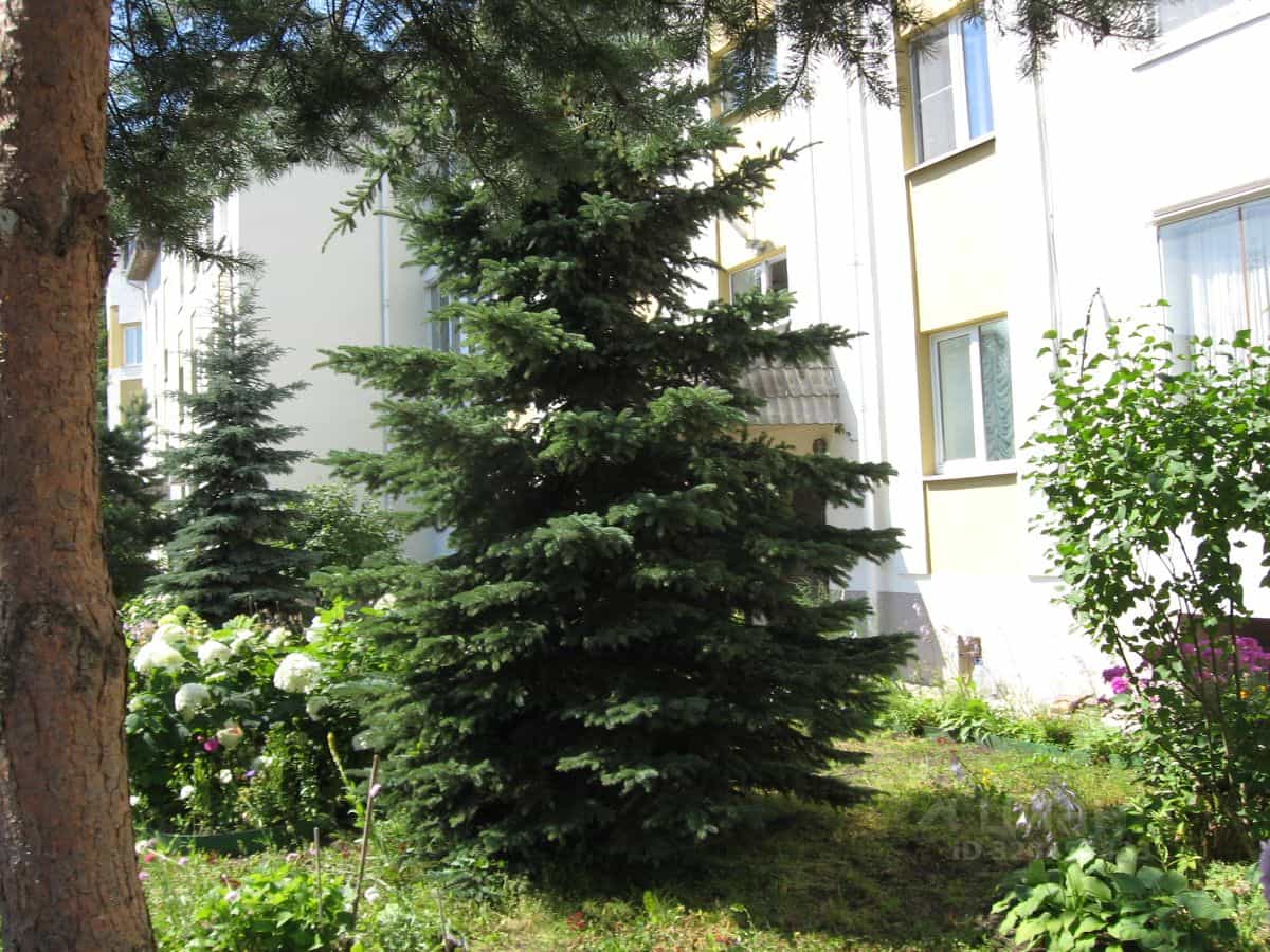 Россия, Великий Новгород, Донецкий район, Парковая улица, 3к2, фото 16