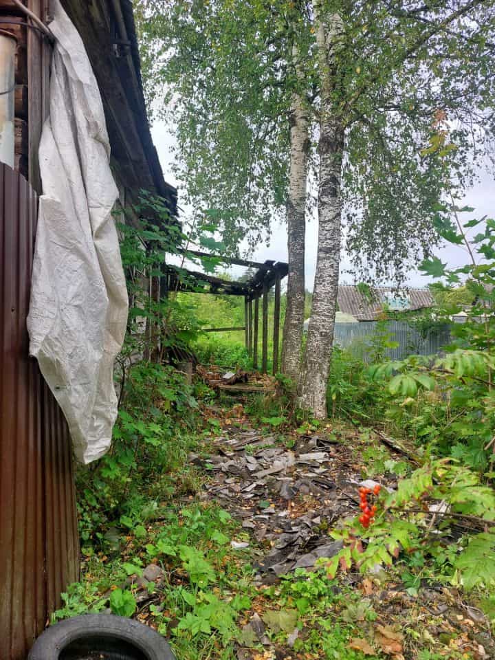 Россия, Новгородская область, Чудово, улица Ромашова, 36, фото 3
