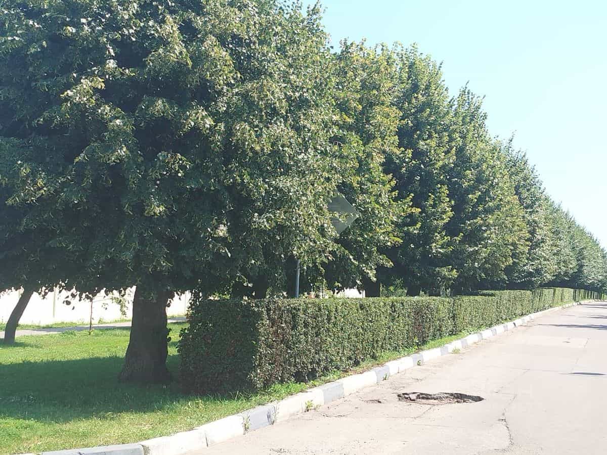 Россия, Тамбов, Лермонтовская улица, 1Б, фото 25