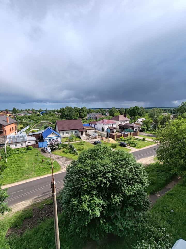 Россия, Орловская область, Мценск, Ефремовская улица, 7, фото 25