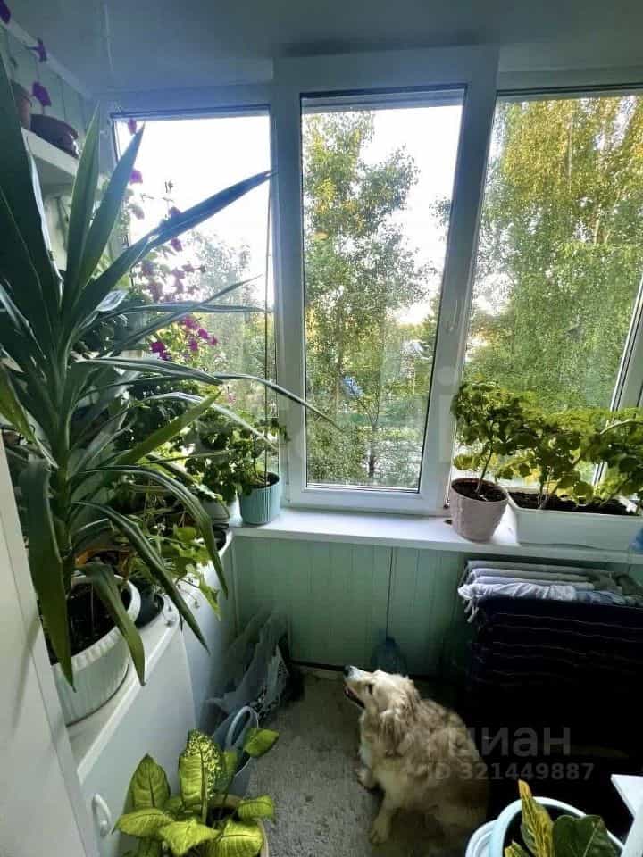 Россия, Республика Коми, Сыктывкар, Октябрьский проспект, 10, фото 2