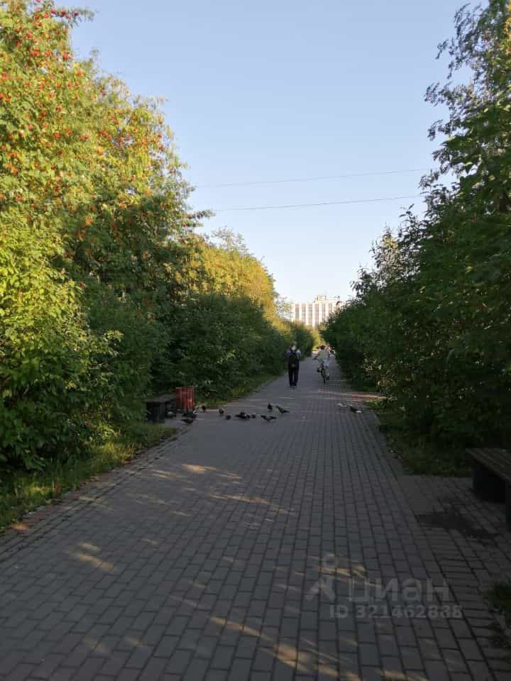 Россия, Мурманск, улица Александра Невского, 89, фото 20
