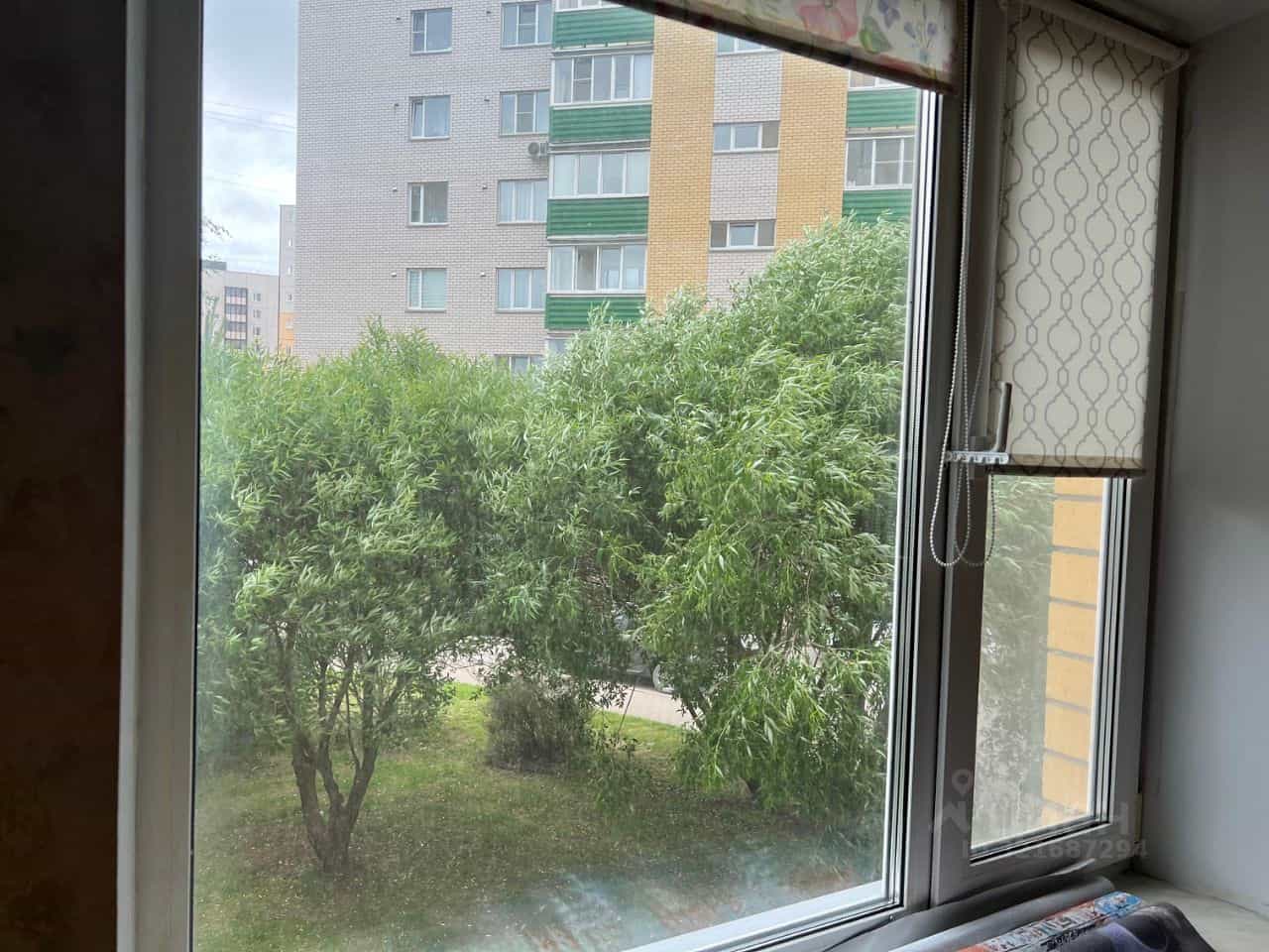 Россия, Псковский муниципальный округ, деревня Родина, Владимирская улица, 7А, фото 11