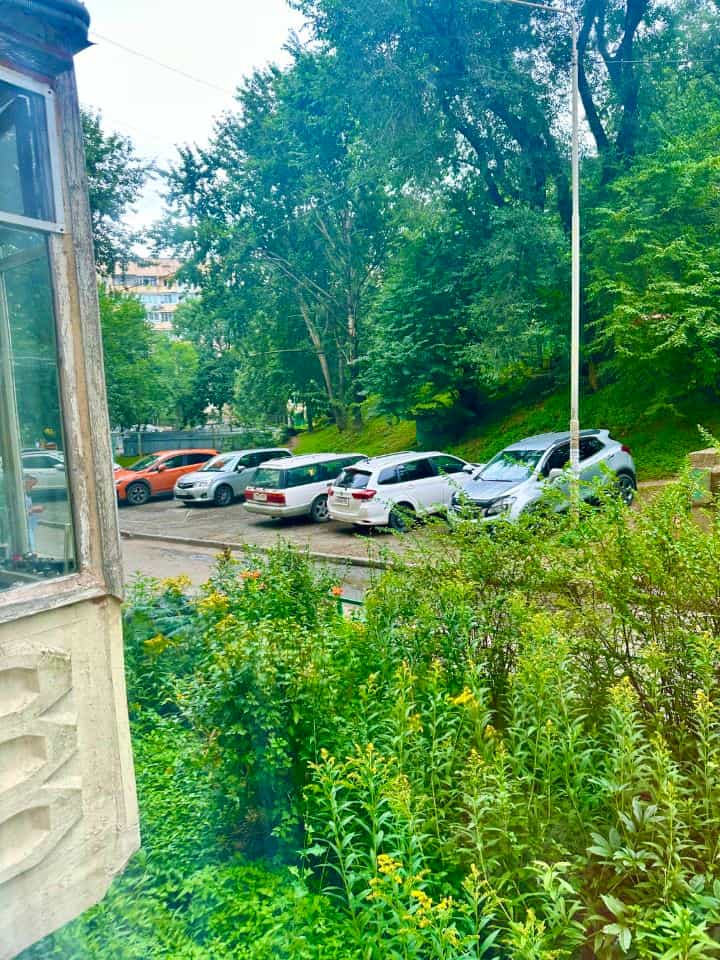 Россия, Приморский край, Владивосток, улица Шошина, 5, фото 5
