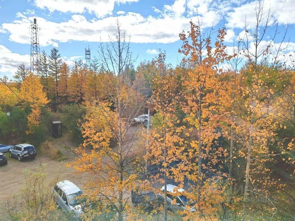 Россия, посёлок городского типа Сокол, улица Королёва, 4, фото 22