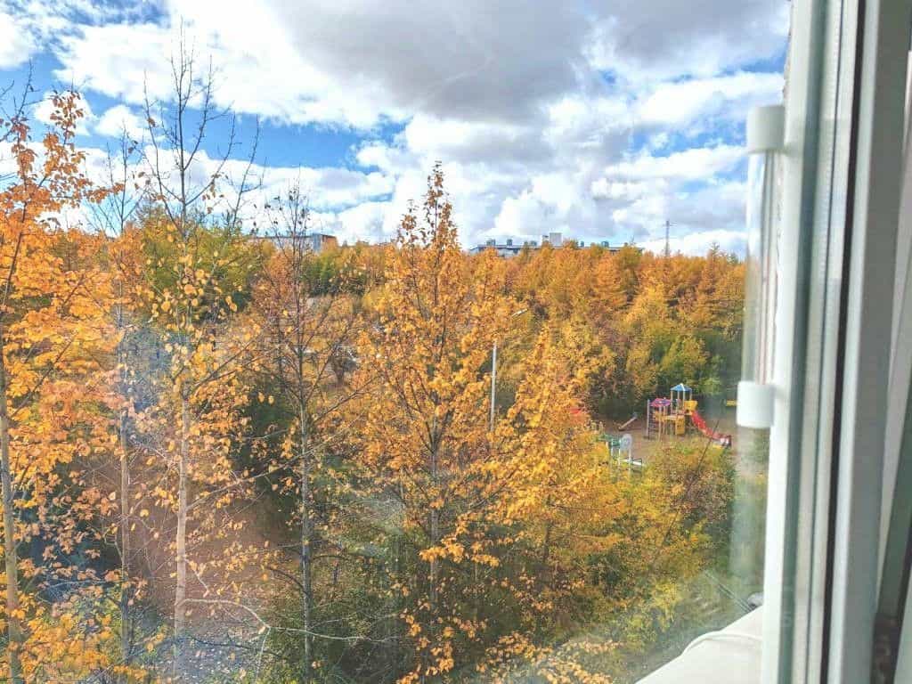 Россия, посёлок городского типа Сокол, улица Королёва, 4, фото 23