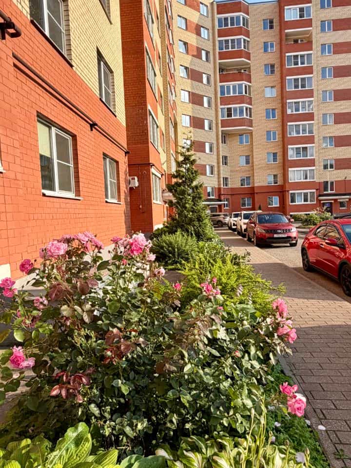 Россия, Великий Новгород, Державинский район, улица Якова Павлова, 7, фото 19