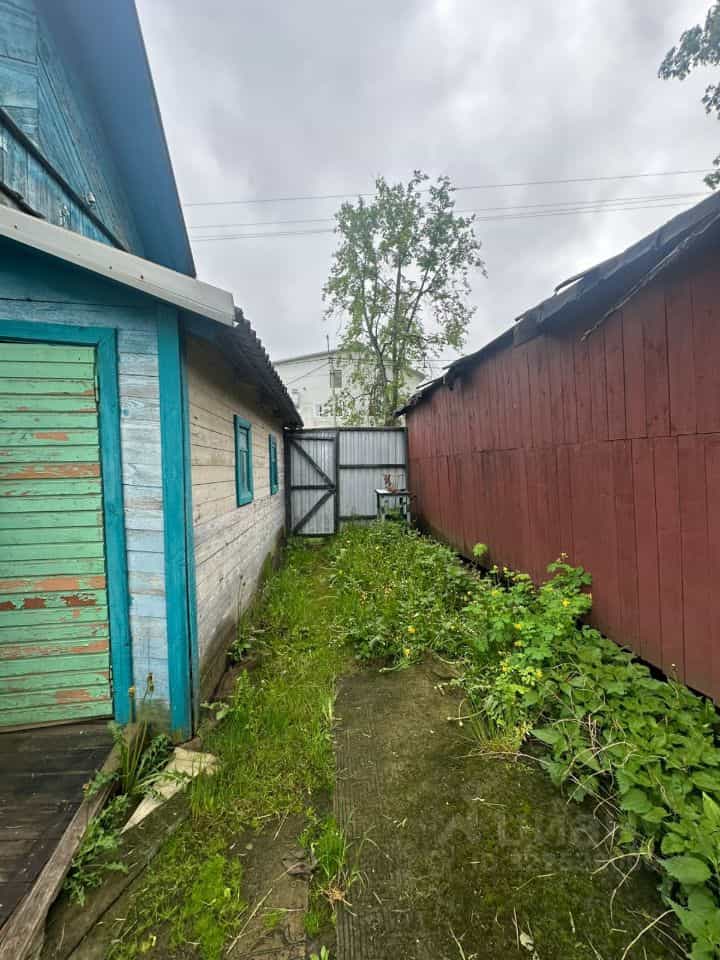 Россия, Псковская область, Пустошка, улица Революции, 31, фото 5
