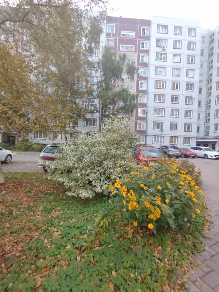 Россия, Великий Новгород, Западный район, улица Кочетова, 1, фото 34