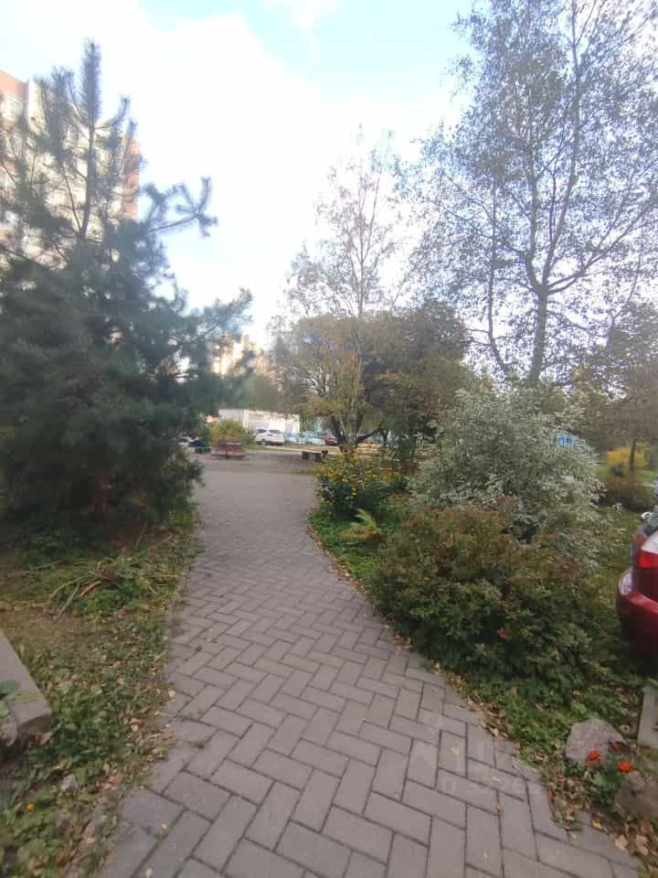 Россия, Великий Новгород, Западный район, улица Кочетова, 1, фото 35
