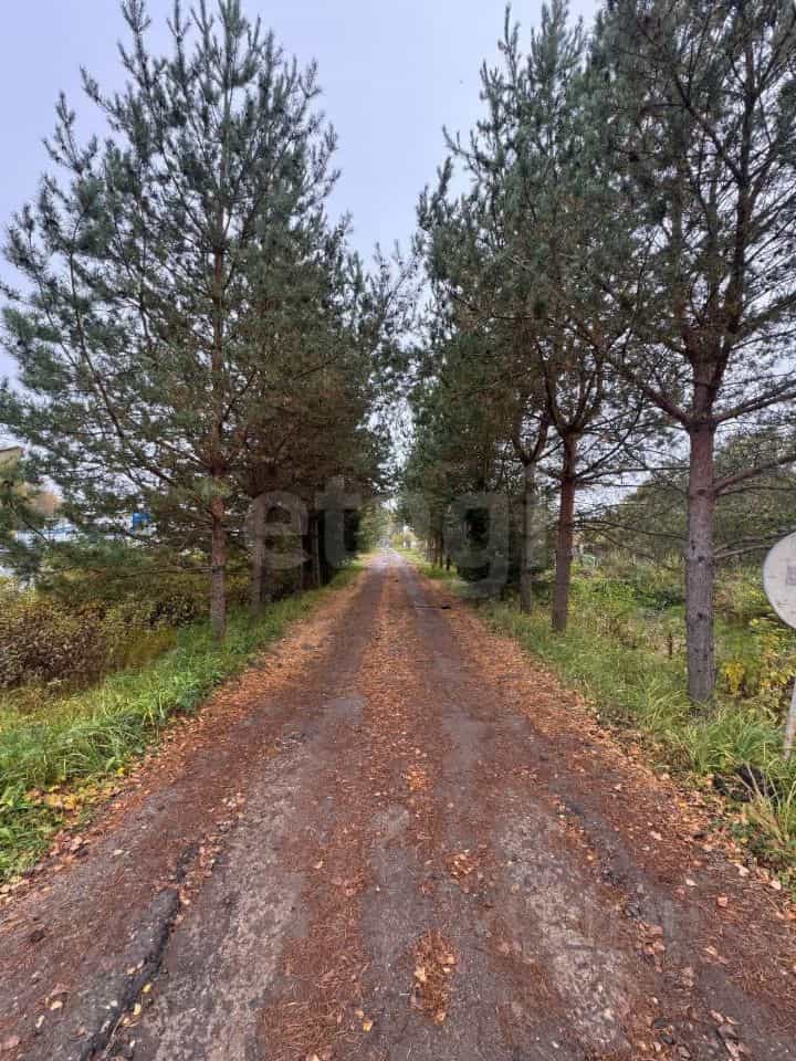 Россия, Костромская область, посёлок городского типа Красное-на-Волге, улица Подстанция, 2Б, фото 39