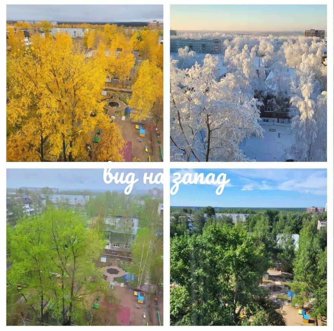 Россия, Республика Коми, Сыктывкар, улица Мира, 28, фото 17