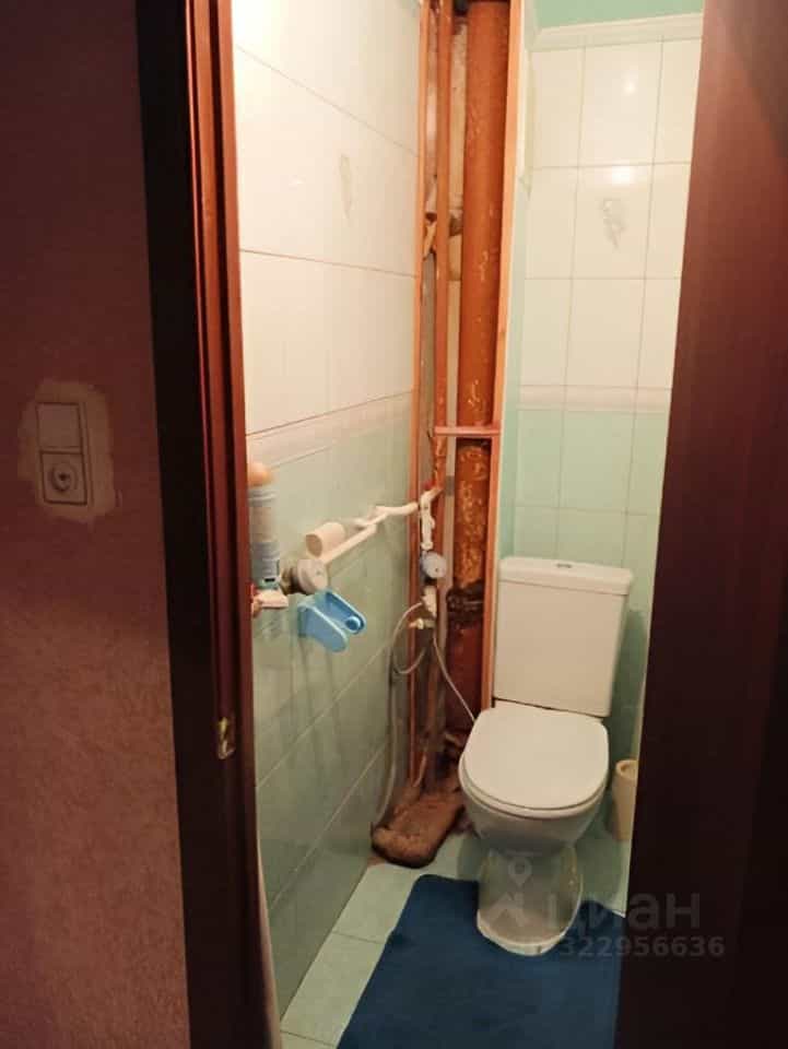 Россия, Псковский муниципальный округ, деревня Соловьи, 9, фото 21