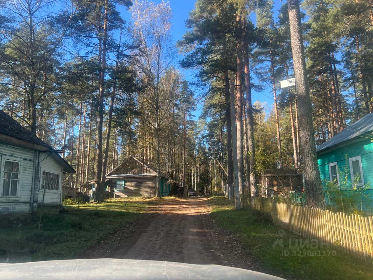 Россия, Новгородская область, Валдайский муниципальный округ, Едровское сельское поселение, деревня Зелёная Роща, 1А, фото 10