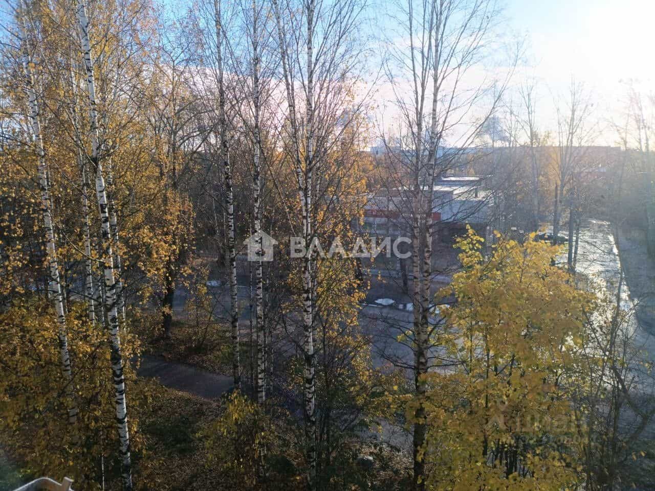 Россия, Республика Карелия, Сегежа, улица Спиридонова, 9, фото 5