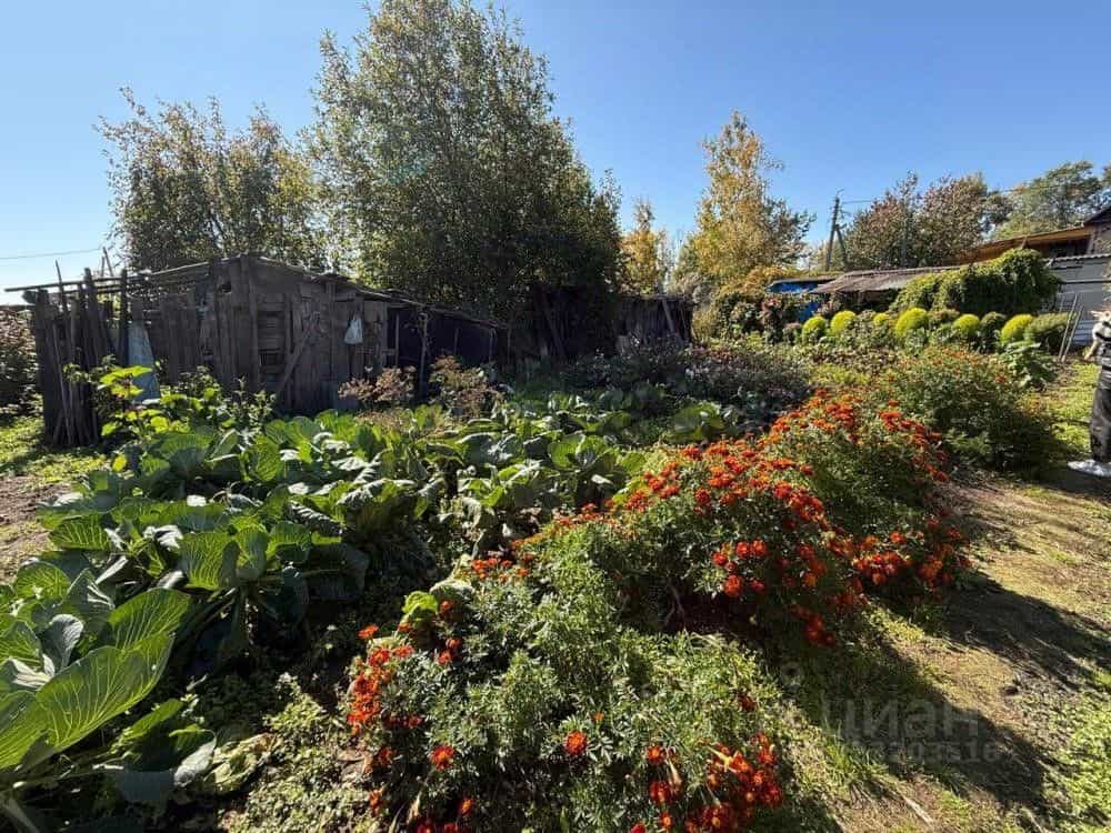 Россия, Амурская область, посёлок городского типа Серышево, улица Попова, 8, фото 29